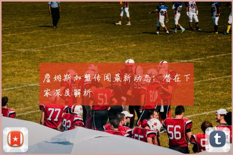詹姆斯加盟传闻最新动态：潜在下家深度解析