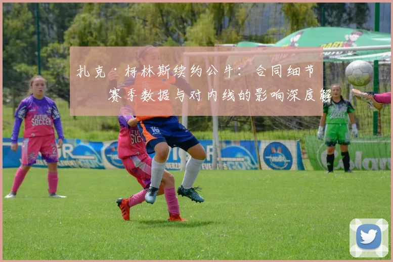 扎克·柯林斯续约公牛：合同细节、赛季数据与对内线的影响深度解析